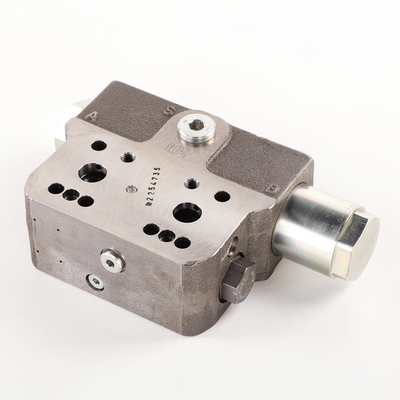 Rexroth Hydraulischer Kolbenmotor Bvd20 Ausgleichsventil mit Doppelsitz