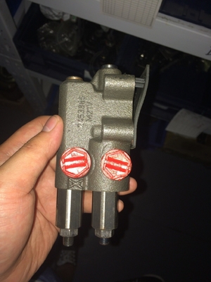 A10vg-Serie A4vg180 A4vg90 A4vg45 A10V028 Hydraulikpumpe für Kolben von Krahern