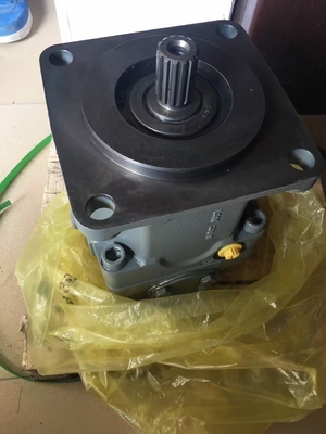 Hydraulische Kolbenpumpe aus Gusseisen A11vo75-Serie für Anpassungsbedürfnisse