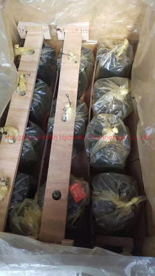 Stützungen mit gerader Welle, Schwanzplatte, Typ A10vso140 für hydraulisch angetriebene Wechselpumpen