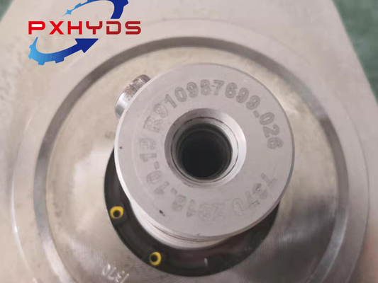 Sicherung der Zahlungen für die Hydraulikpumpe A10vso100 zur Erfüllung der Kundenanforderungen