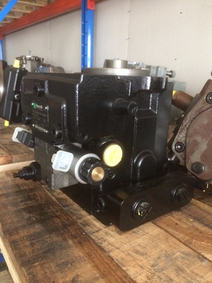 Hydraulische Ersatzteile A4vg45ez2dm1 für Gusseisenmaschinen in der Ölindustrie