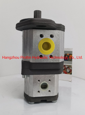 Straight Tooth Gear Pump für Rexroth Hydraulikpumpe Azpnf-11-032011rdc0720kb-S0081
