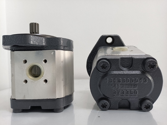 Involute Zahnkurve Azpf-11-019rrr20kb-S0081 Getriebepumpe für Rexroth Hydraulikpumpe
