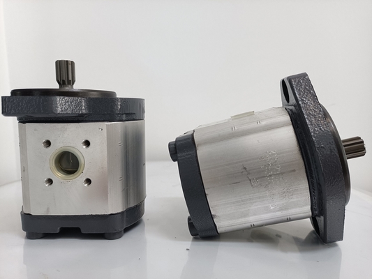 Involute Zahnkurve Azpf-11-019rrr20kb-S0081 Getriebepumpe für Rexroth Hydraulikpumpe
