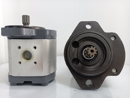 Involute Zahnkurve Azpf-11-019rrr20kb-S0081 Getriebepumpe für Rexroth Hydraulikpumpe