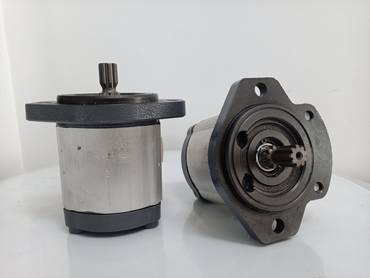 Involute Zahnkurve Azpf-11-019rrr20kb-S0081 Getriebepumpe für Rexroth Hydraulikpumpe