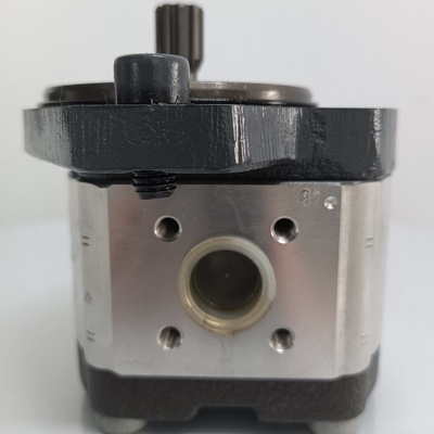 Rückerstattungsrichtlinie fehlt Azpf-11-008rrr20kb-S0081 Getriebepumpe für Rexroth Hydraulikpumpe