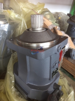 Ausgrabungsmaschine Hydraulikpumpe A6vm28 A6vm55 A6vm80 A6vm107 Serie mit anpassbarem Design