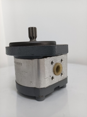 Hydraulische Getriebe Pumpen Teile Ausgang für Saison Ausgang Maschinenherstellung
