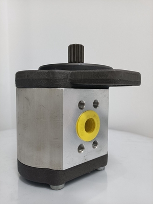 Ausrüstung für die pharmazeutische Produktion Bagger Hydraulic Charging Pilot Gear Pump
