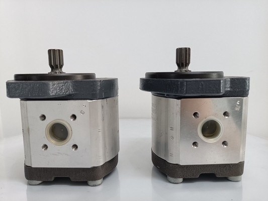 0510765055 Hydraulische Getriebepumpe mit schiefer Zahnflanke Azpff-11-022/008rrr2020kb-S0081