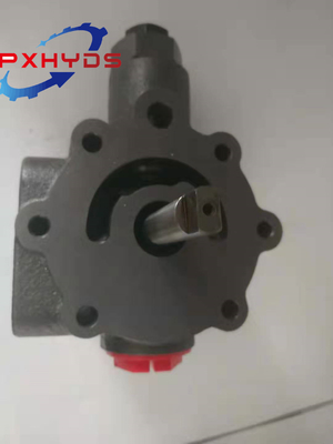 Eton 5423 Hydraulikpumpe Ladepumpe Normalleitungsgetriebe Pumpe aus Kohlenstoffstahl