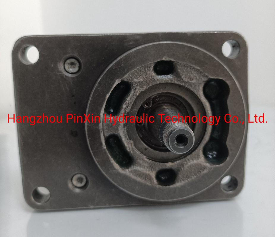 Zahn Flanke Gerade Zahn Azmf-10-011USA20ml Getriebepumpe für Rexroth Hydraulikpumpe
