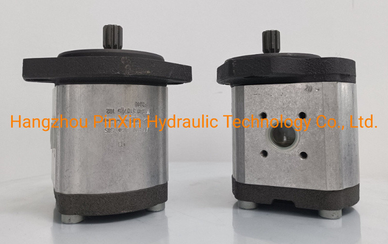 0510725102 Getriebepumpe für Rexroth Hydraulikpumpe Normallinie Azpf-11-022rrr20kb-S0081