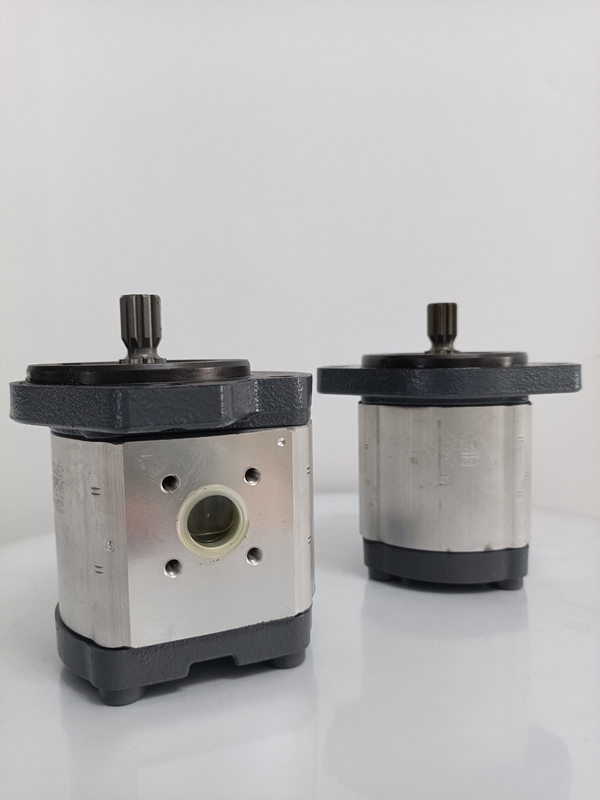 Involute Zahnkurve Azpf-11-019rrr20kb-S0081 Getriebepumpe für Rexroth Hydraulikpumpe