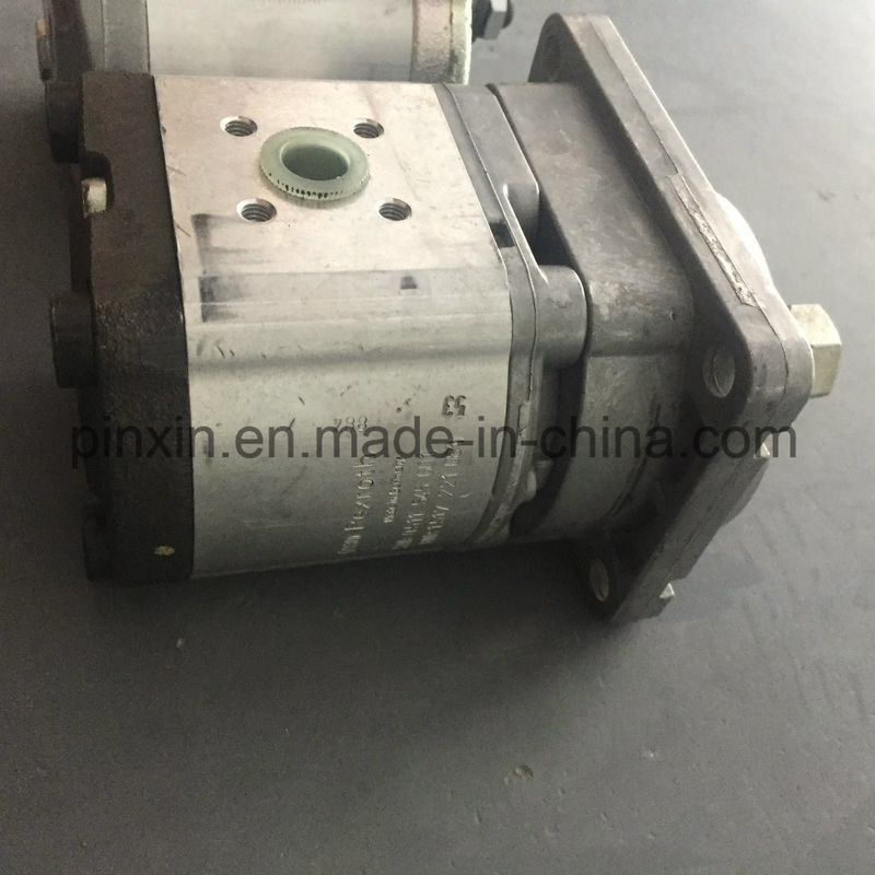 Erleben Sie die Leistung der Bogengangpumpe 0511 in Ihrem hydraulischen Ladungspumpen